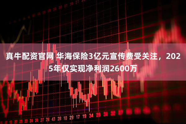 真牛配资官网 华海保险3亿元宣传费受关注，2025年仅实现净利润2600万